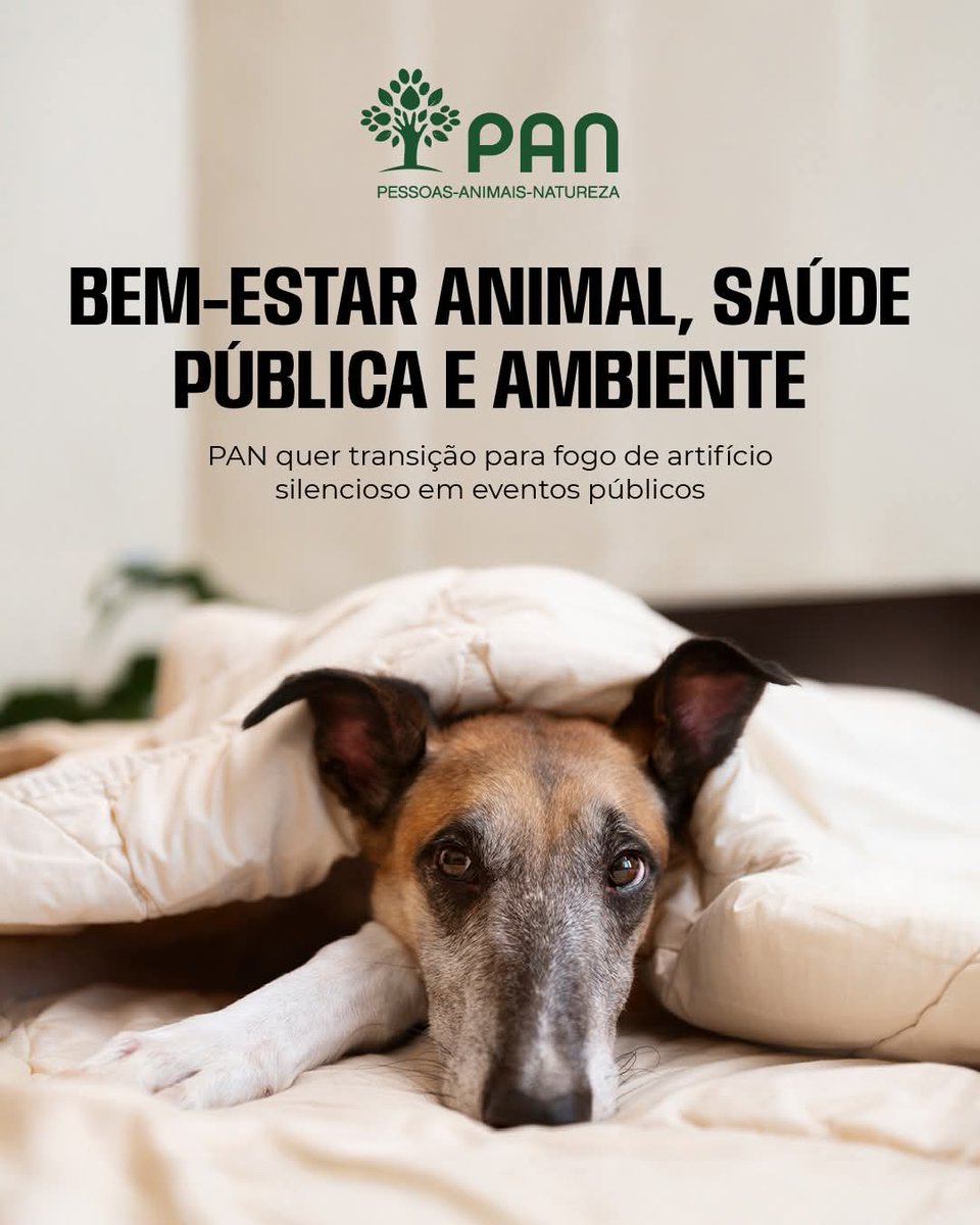 Prince 🇪🇺🇺🇦 (@prince_x007) on Twitter photo 