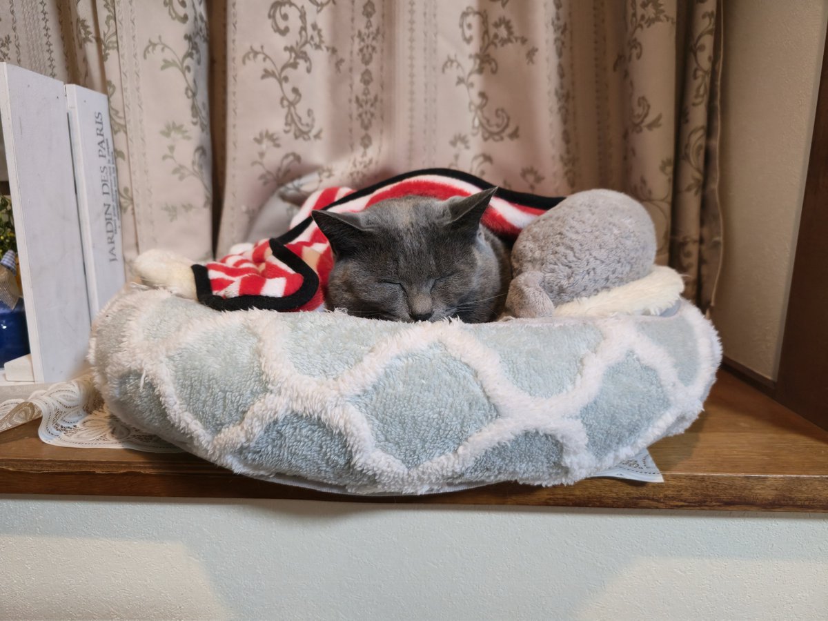 ◉にゃんちゃん ねこちゃんにゃんにゃん (あかちゃんとおかあさんの絵本) | 西内ミナミ