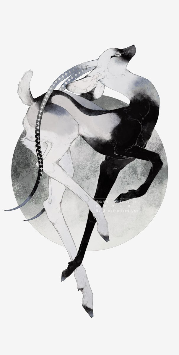 _ke_da_ma_'s tweet image. 🎠🪽🦅🦌 #2025年自分が選ぶ今年の4枚