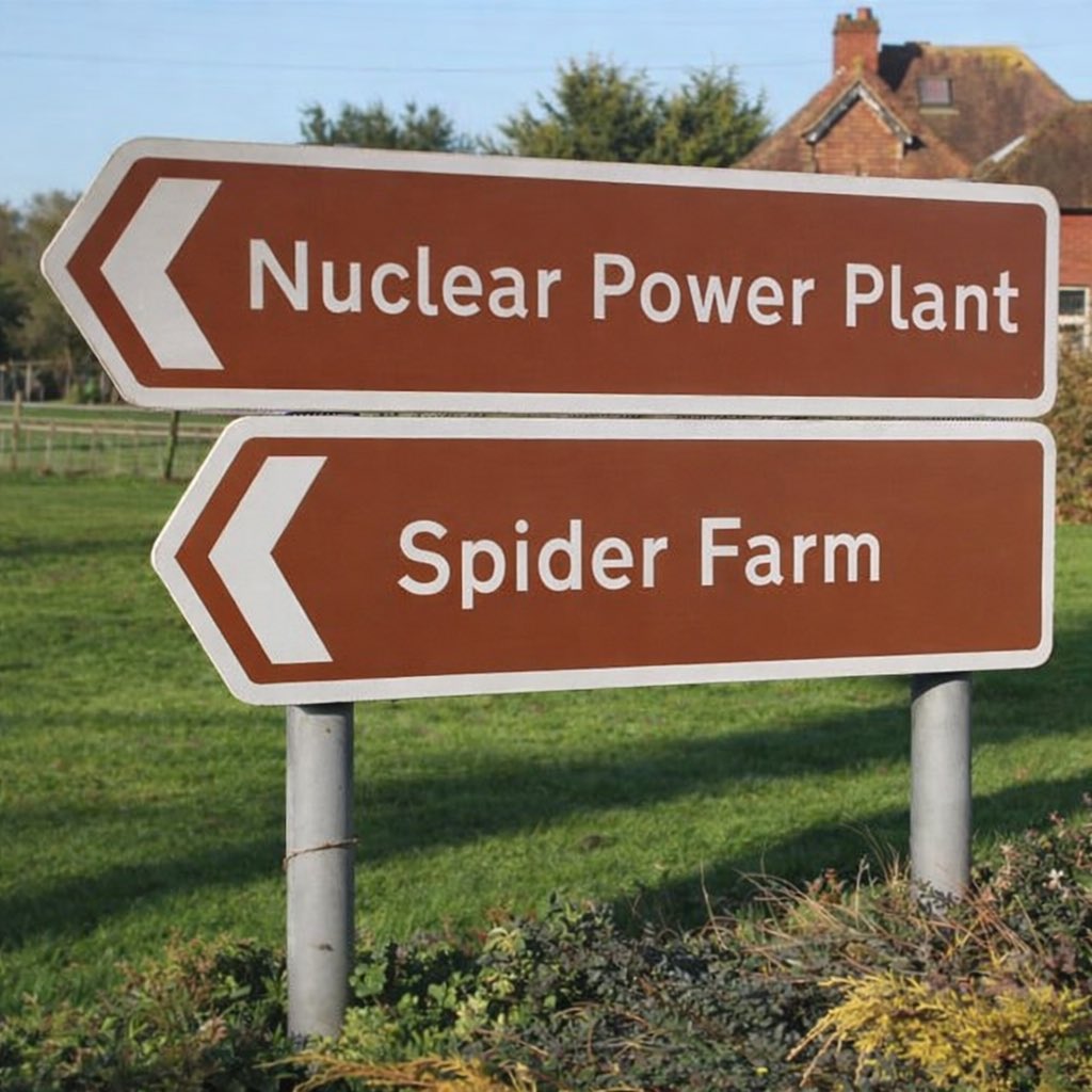 What could go wrong?