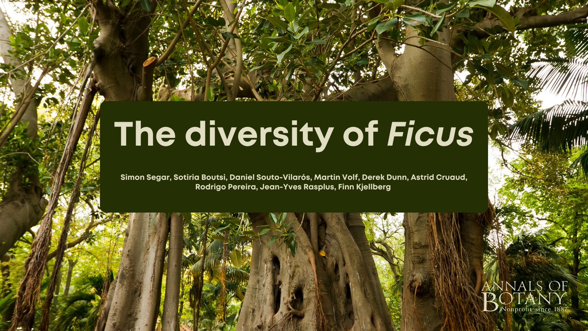 Annals of Botany tweet media