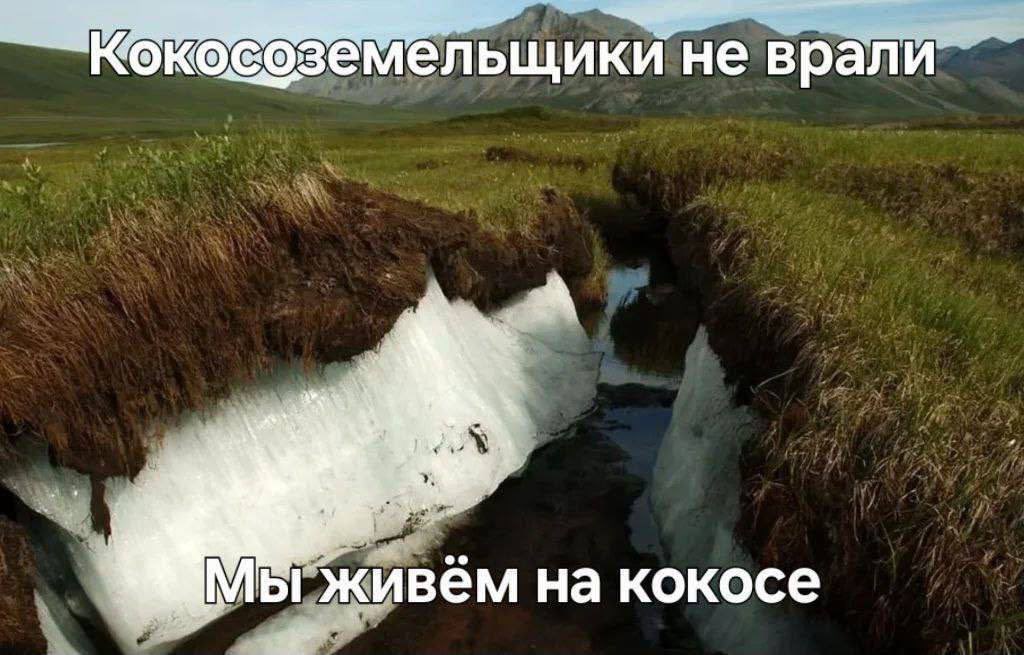 Шах и гол