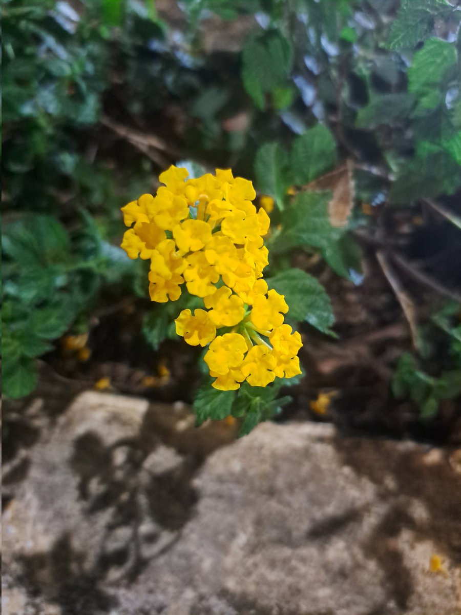 お疲れ様でした, waktunya liburan 😭 walau hanya 2 hari :)✌️