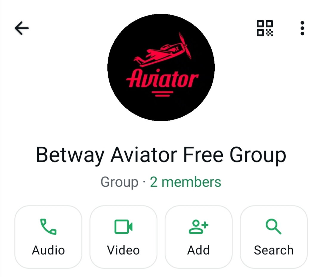 that airplane guy tweet media