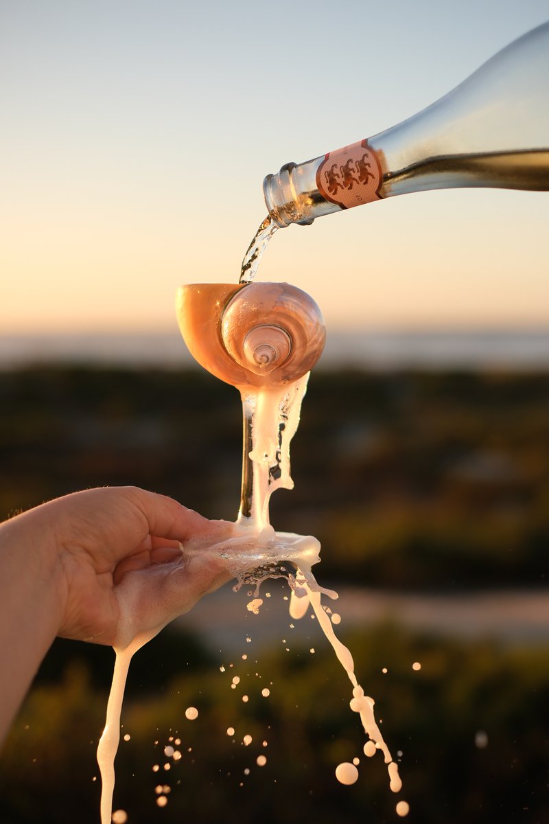 Leopard's Leap tweet media