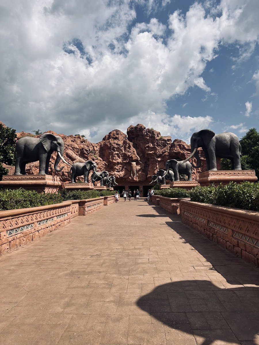 _BrianSentongo_'s tweet image. ☀️ 😎