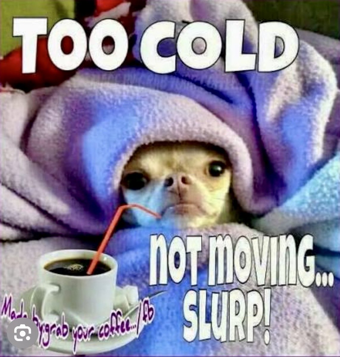 😁🤣Good morning 🥶🥶 It is COLD!! Got my hot \u0026 delicious coffee- I'm  good🤣😁👍 Be safe \u0026 warm, \u0026 have a great day!!✨☕️☕️✨, image size:1142x1200