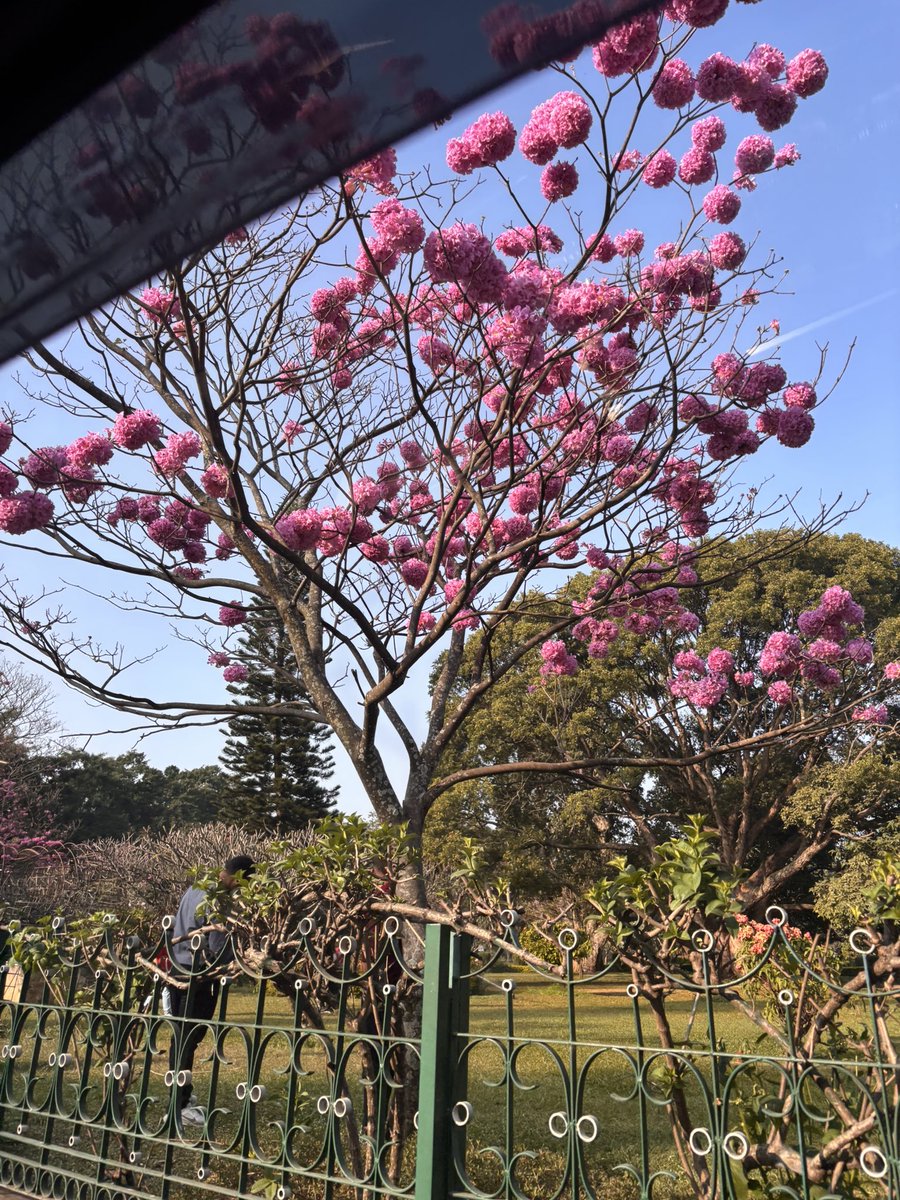 December in a review