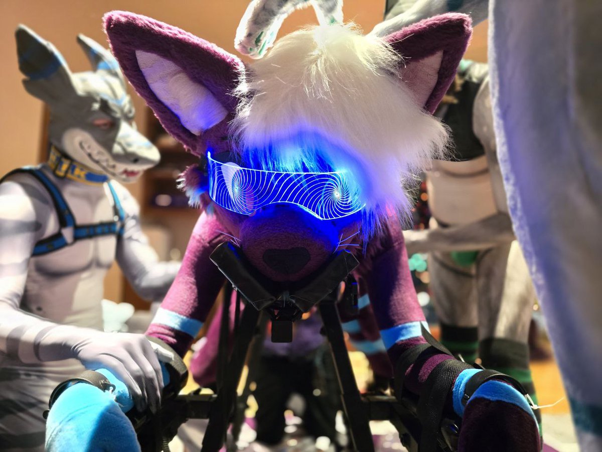 Meeps' Porn Stash tweet media