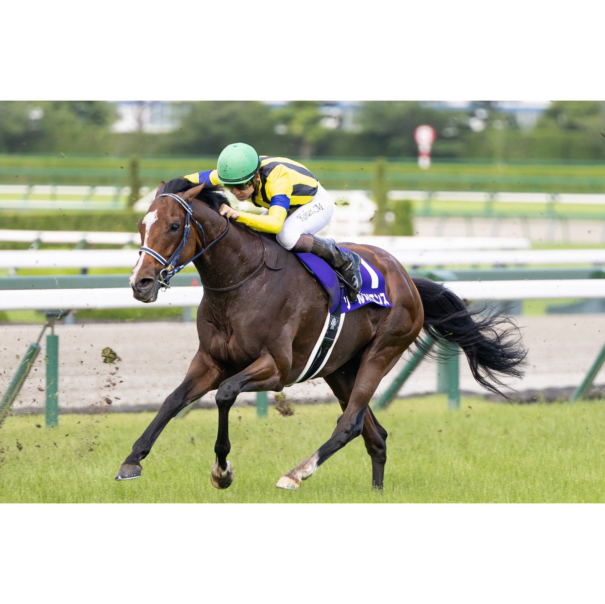 E3%82%BD%E3%83%BC%E3%83%AB%E3%82%AA%E3%83%AA%E3%82%A8%E3%83%B3%E3