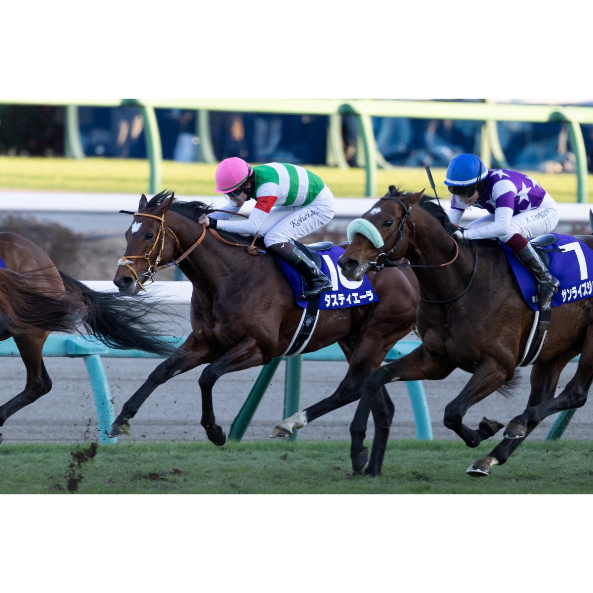 E3%82%BD%E3%83%BC%E3%83%AB%E3%82%AA%E3%83%AA%E3%82%A8%E3%83%B3%E3