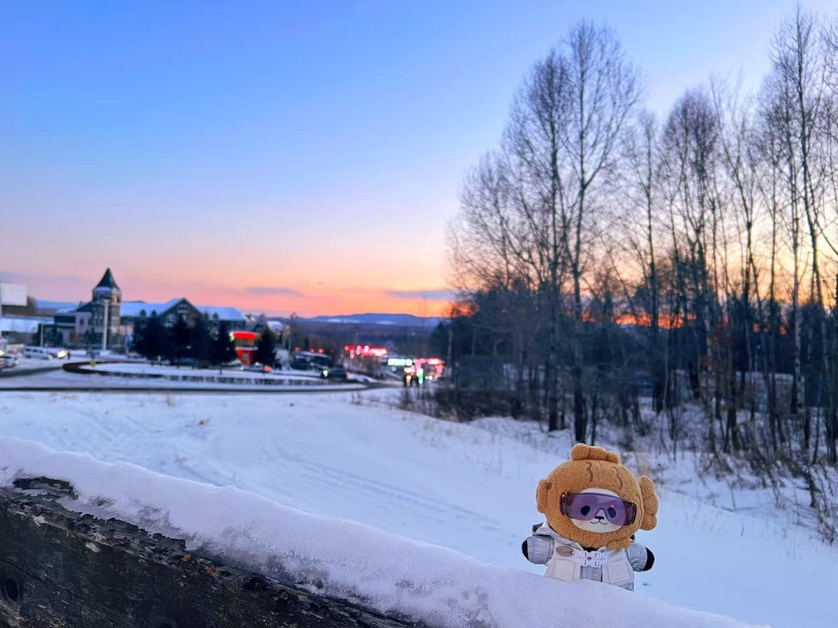 planetbear_jp tweet media