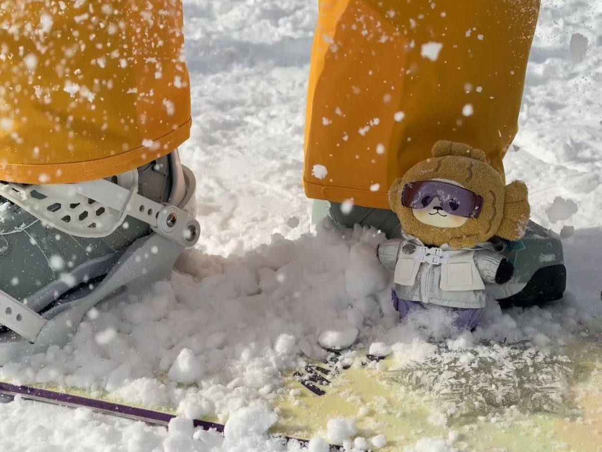 planetbear_jp tweet media