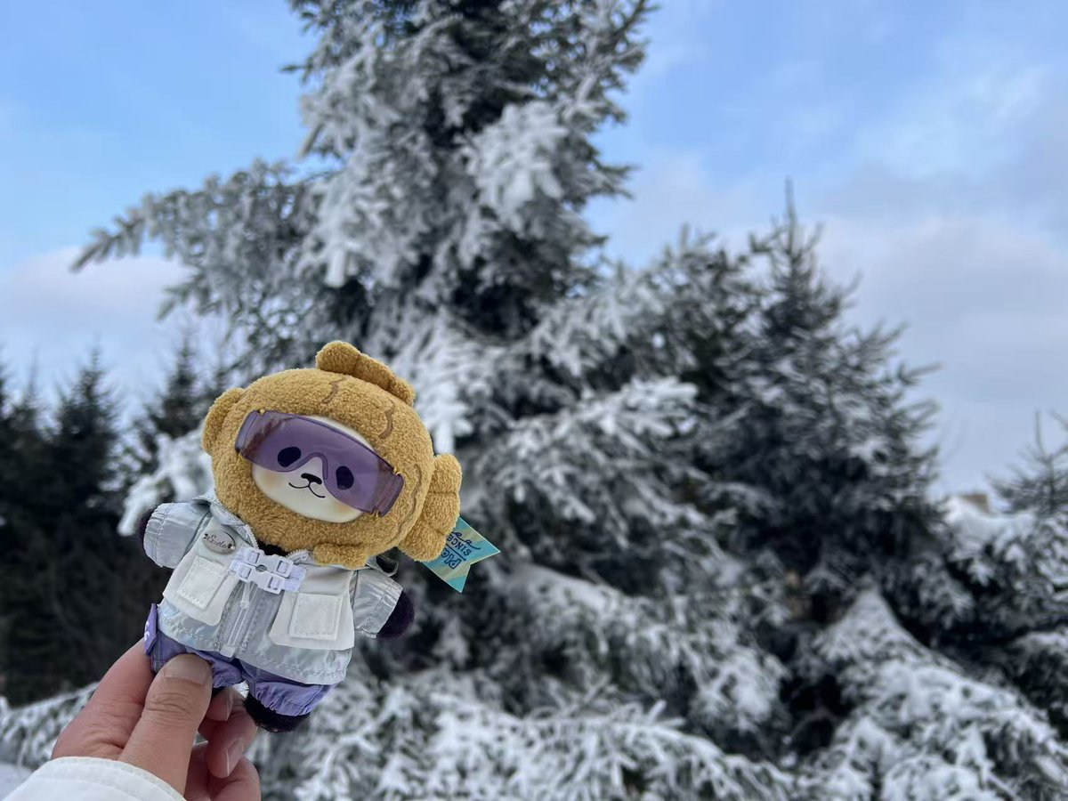 planetbear_jp tweet media