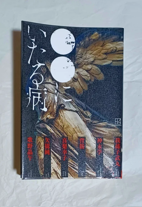 読んだその2!
『●●にいたる病』 我孫子武丸 他

色んなことに至ったり至らなかったりするお話が6本
矢樹純さんのお話が気持ちわるくてめちゃめちゃ好きです、血腐れが良かったので楽しみにしてた
歌野晶午さんは首切り島と結構雰囲気が違う感じがしてこんなお話も書かれるんだって新鮮でした
#読了 