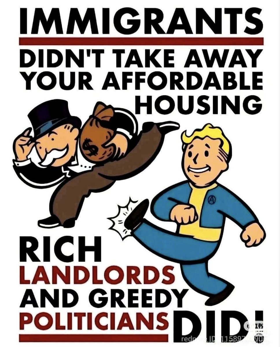 🧡Lulu🌾; tweet media