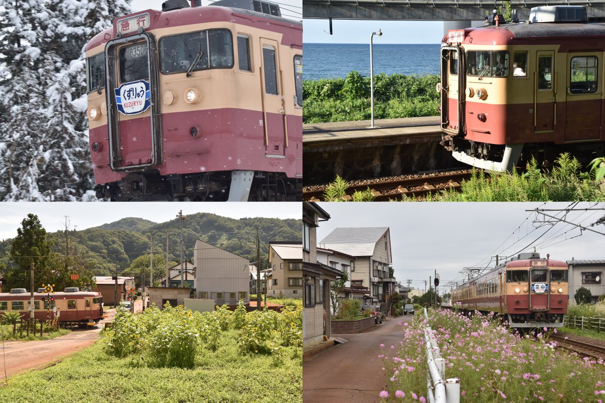 湘南あずき tweet media