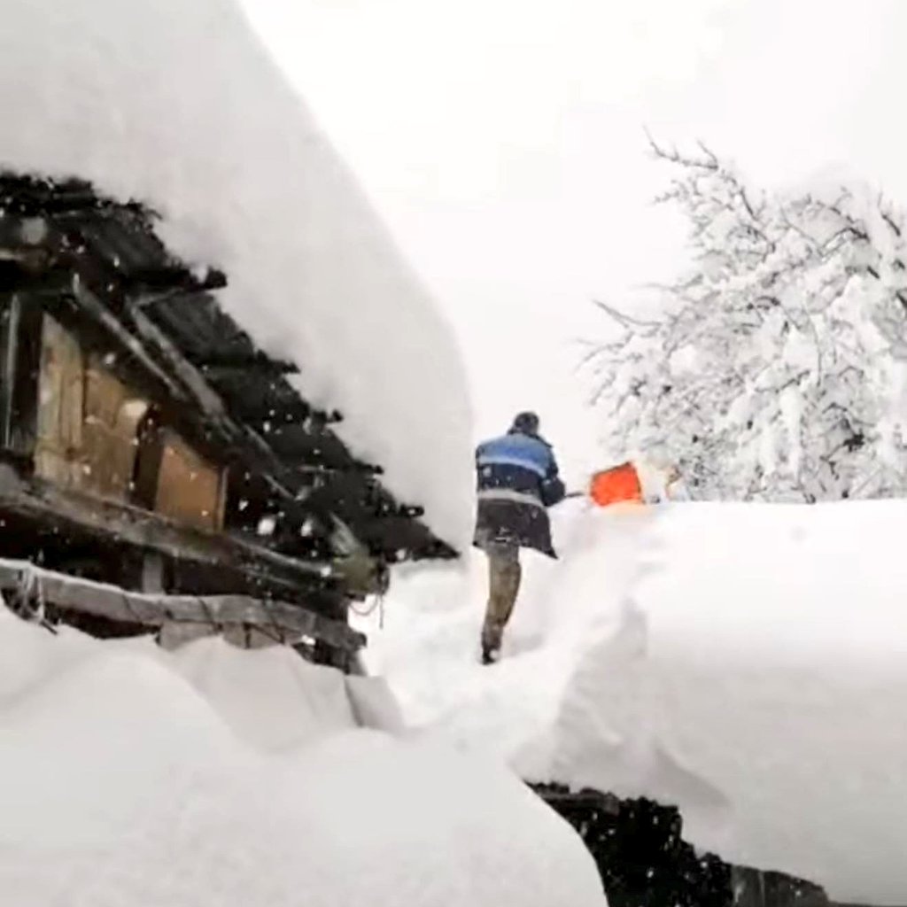 Artvin, Borçka'da kar kalınlığı 1 metre 70 santimetreyi geçti. 1.70'in altındakiler karda kayboluyor.