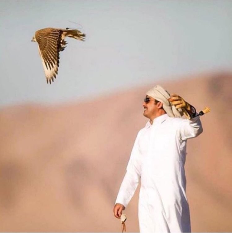 Suhaim A. Al Thani tweet media