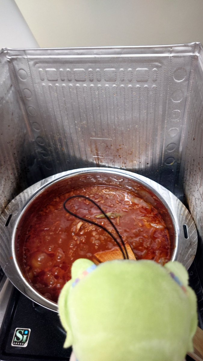 わたしんちのかざちゃん 配信で作ってたハヤシライス作ってみた ルゥ