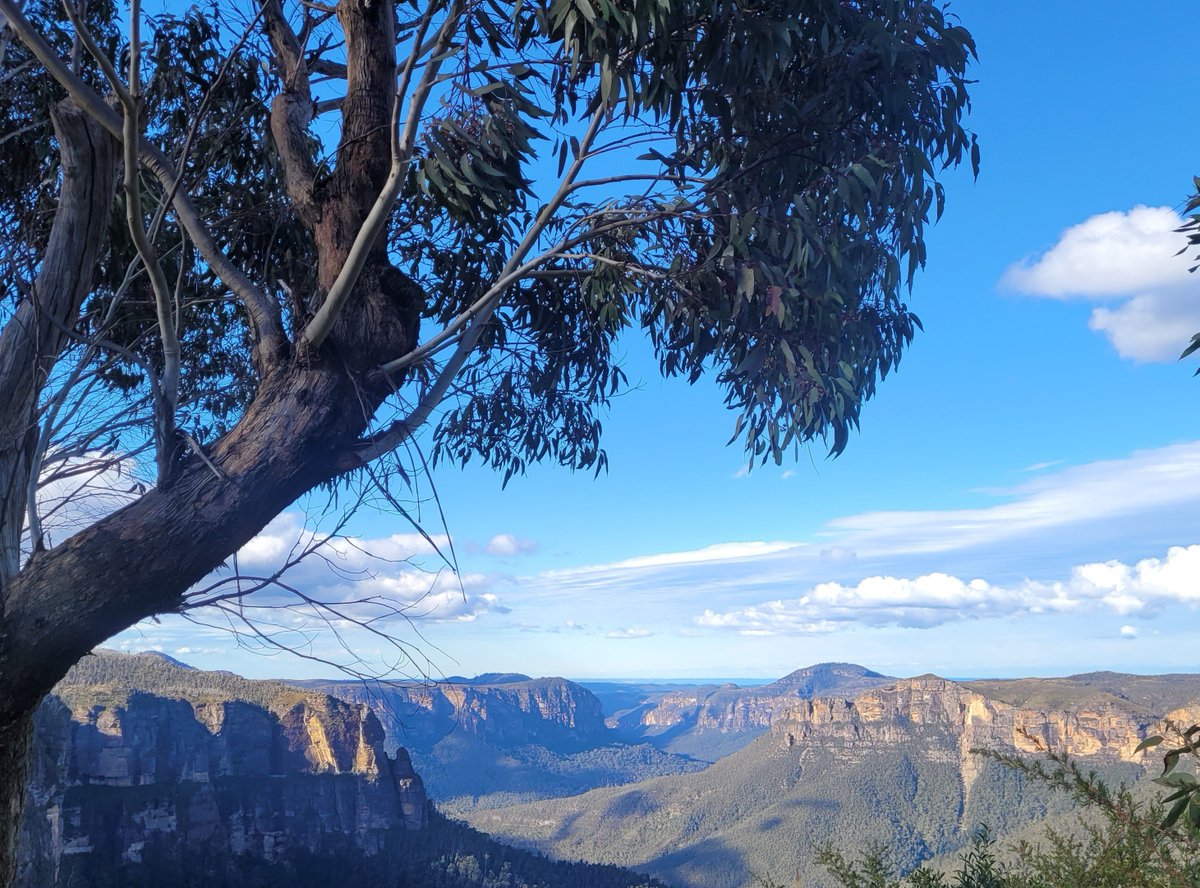 Doktor Google tweet media