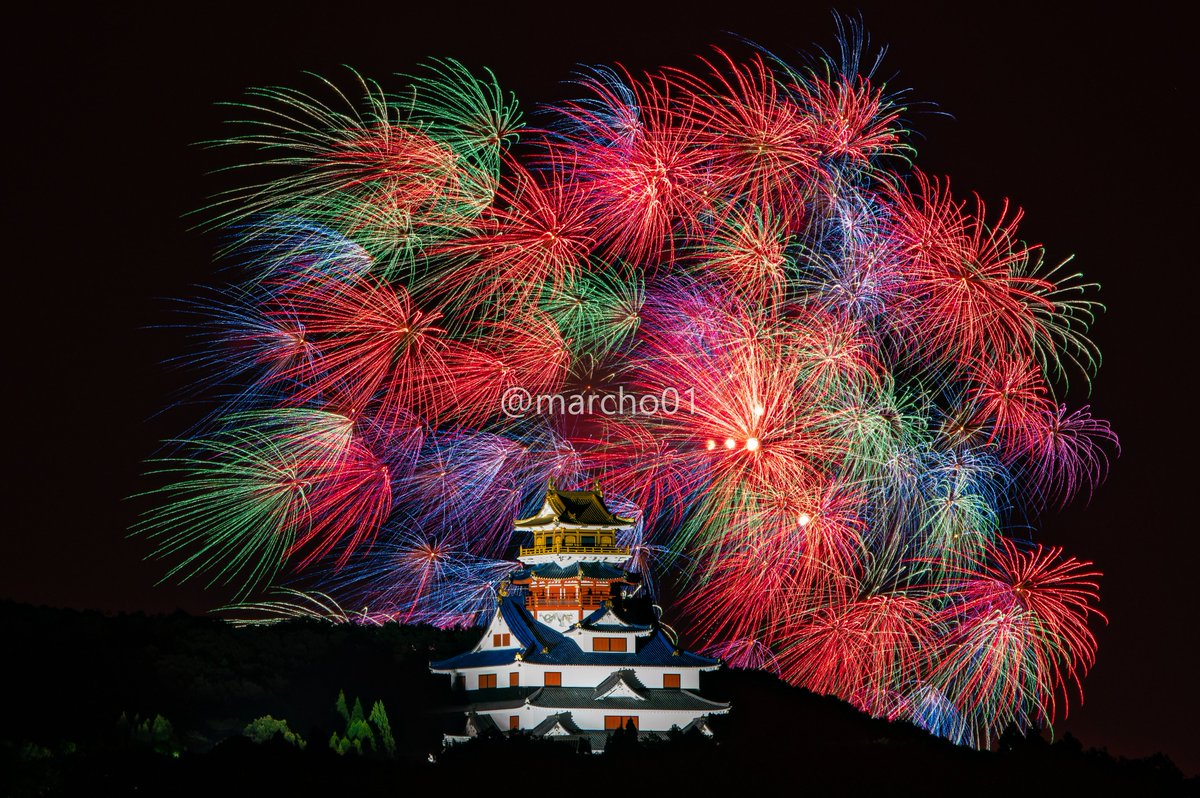 まーちょ tweet media