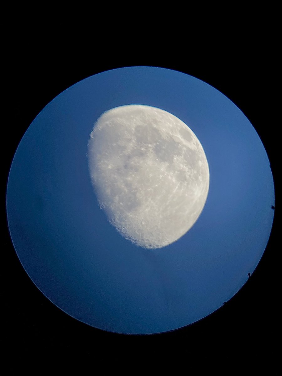 Fͫuͧcͭkͪaͣ_Leedy 🛰️🔭 tweet media