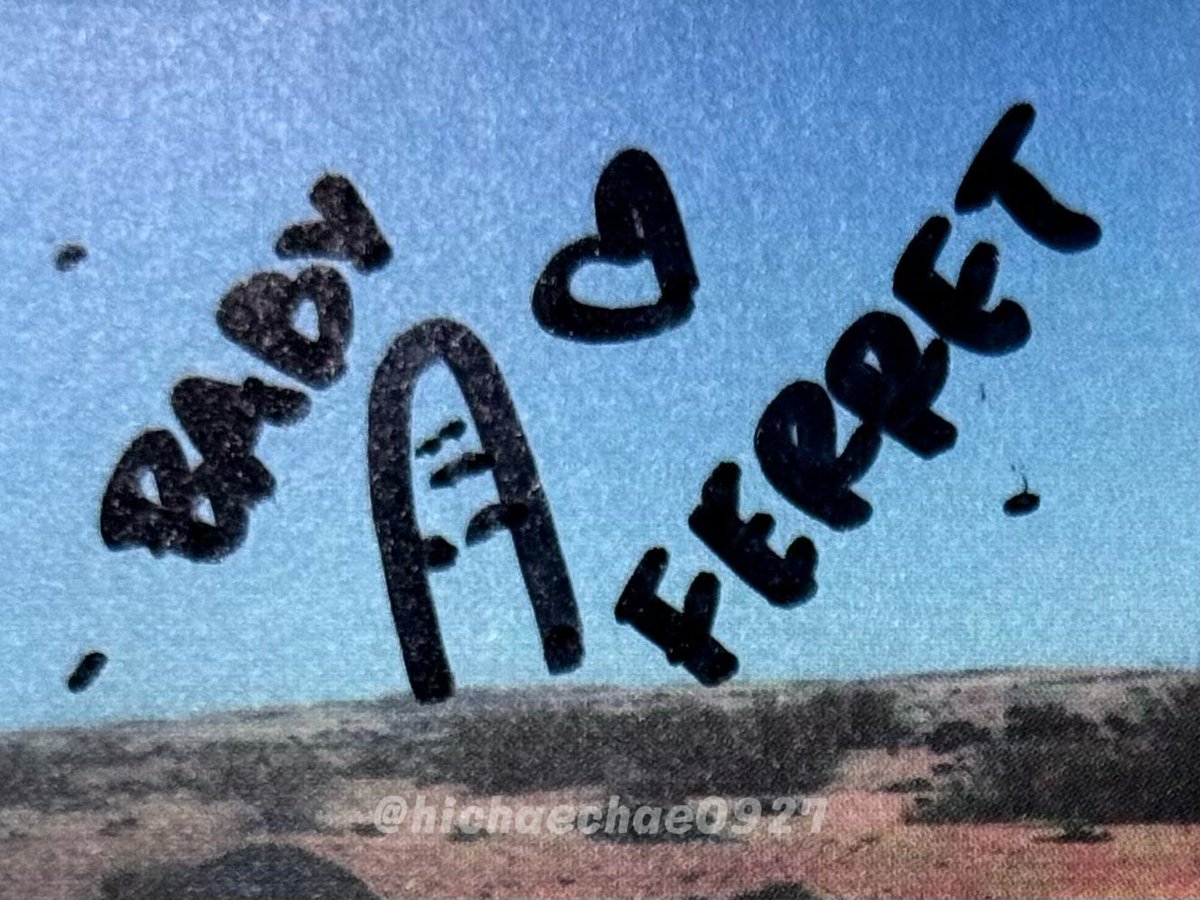 혼자서 틧 싸지르던 시절 2주 정도 이런 기원제를 지낸 적이 있었는데요 (자체 종료 사유: 벵이 너무 바빠보여서 강요하기 미안해짐) 드디어 보답을 받는군
딱 지닮아 귀엽고 하찮은 것만 그리는게 진짜 귀엽고 하찮지 않나여...