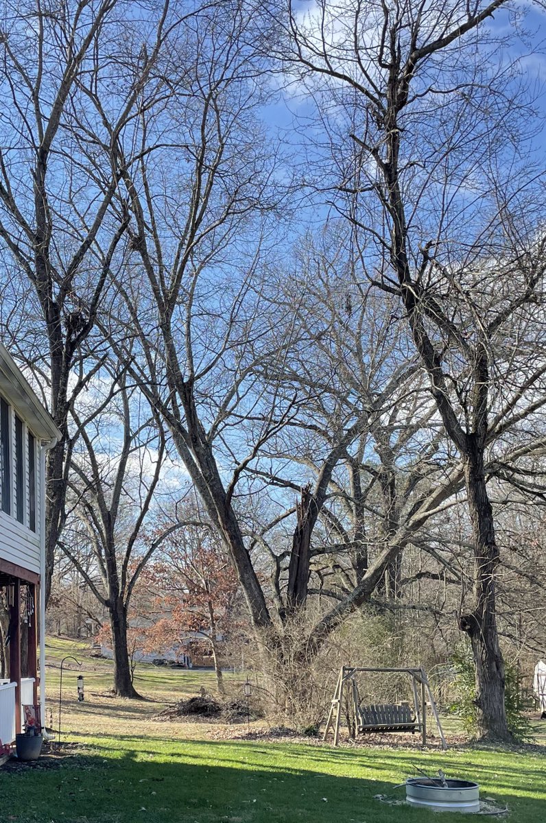 GM friends and hello from a deceptively sunny Murrvul!