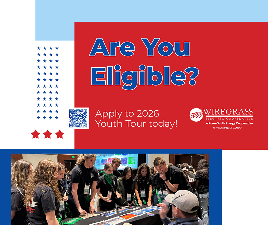 WEC2's tweet photo. The Youth Tour is open to high school juniors who are dependents of WEC members. If that’s you—or someone you know—now is the perfect time to apply!

Apply today at https://t.co/j7a7bTGt3c https://t.co/0SZOZ3Jjds