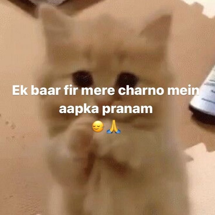 Samiksha 🫀 tweet media