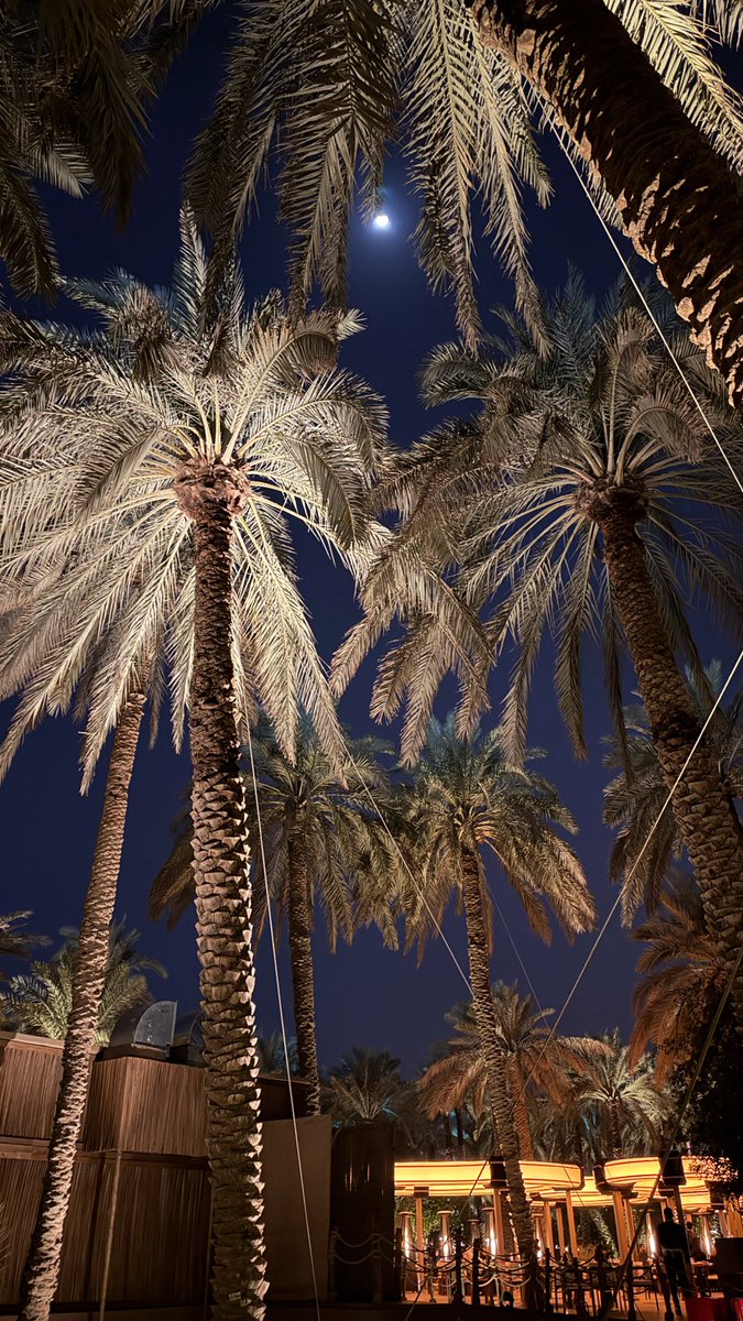 __eilu's tweet photo. ليالي الدرعية 🌴❣️ https://t.co/GA179b2g7T