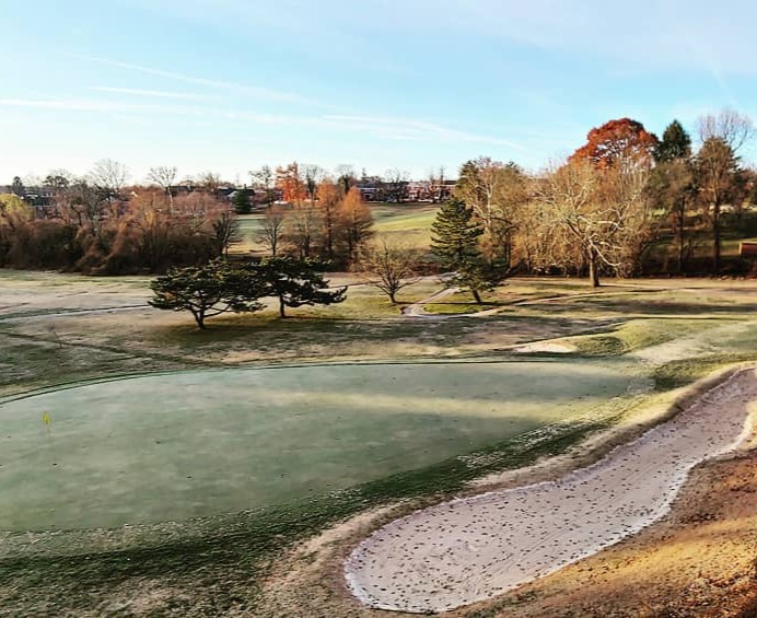 Classic 5 Golf tweet media