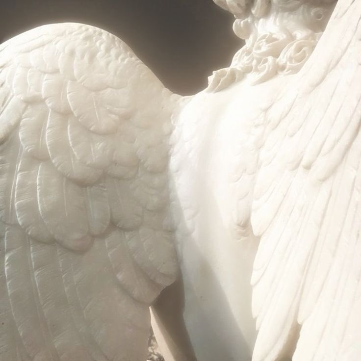 QuiveringFig tweet media