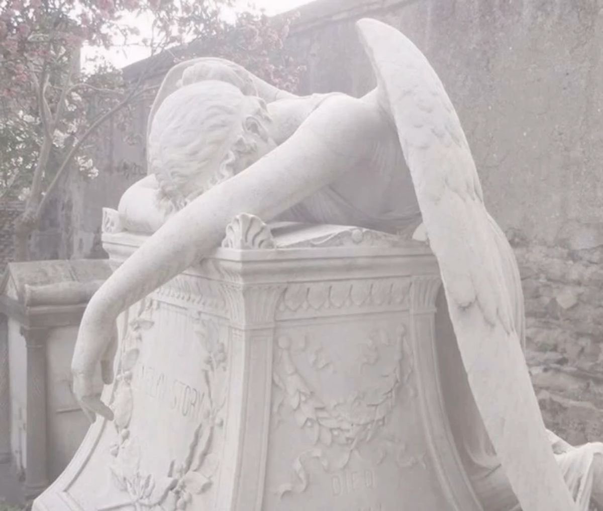 QuiveringFig tweet media