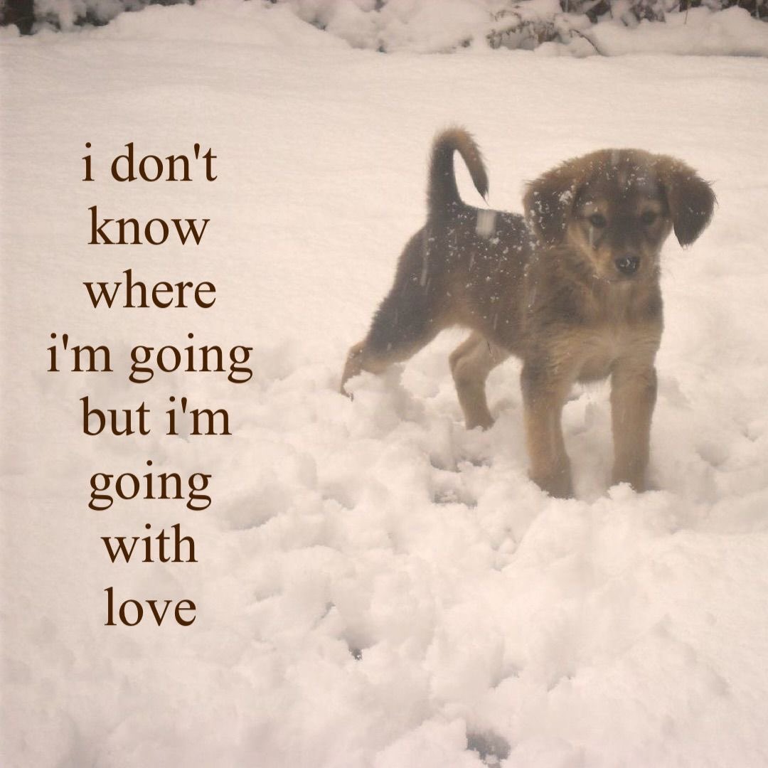 ⚔️🎀 𝔉𝔦𝔞𝔡𝔥 🎀⚔️ tweet media