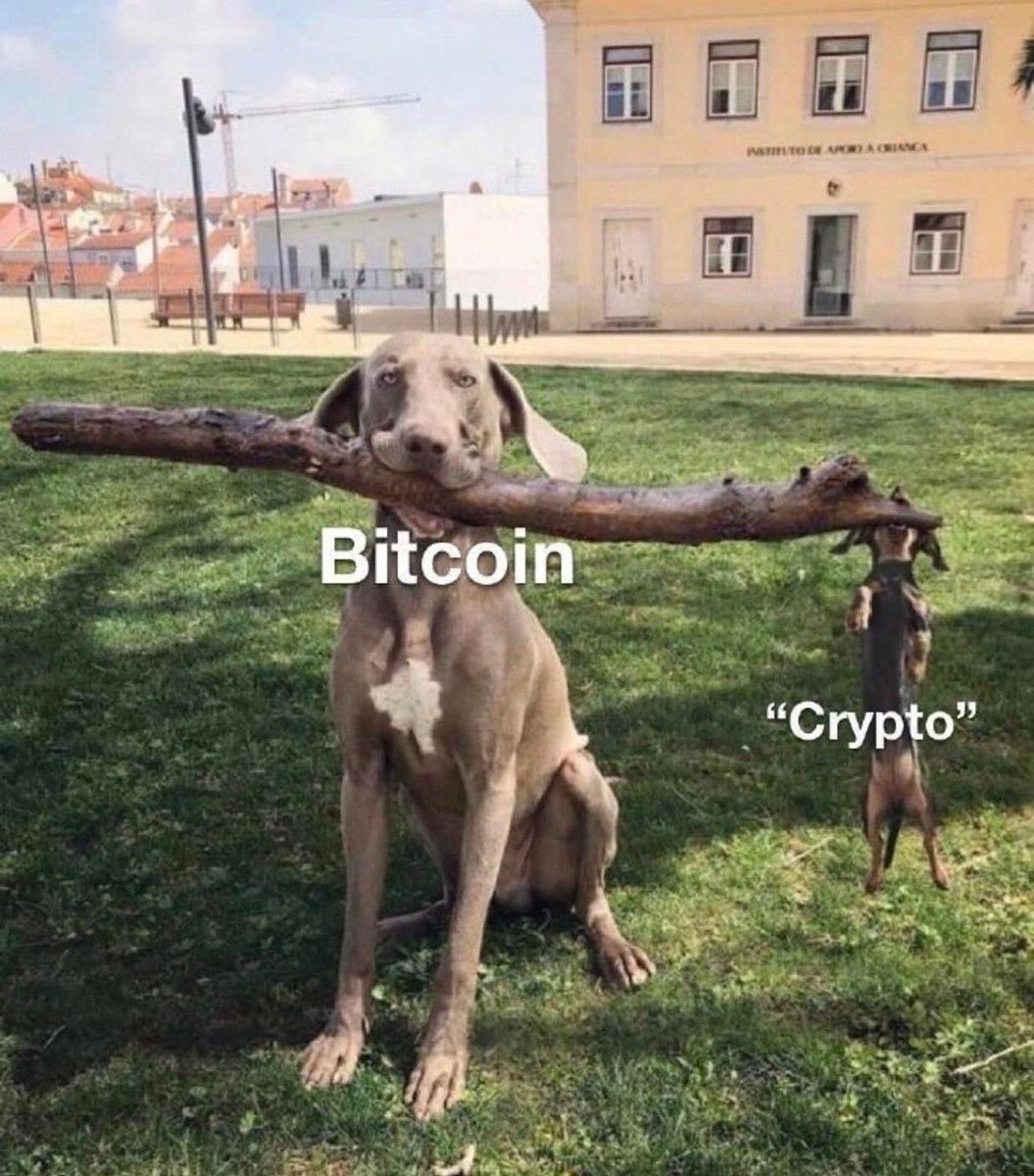 I feel like the little dog is gonna be getting smaller and the big dog is going to be getting bigger.