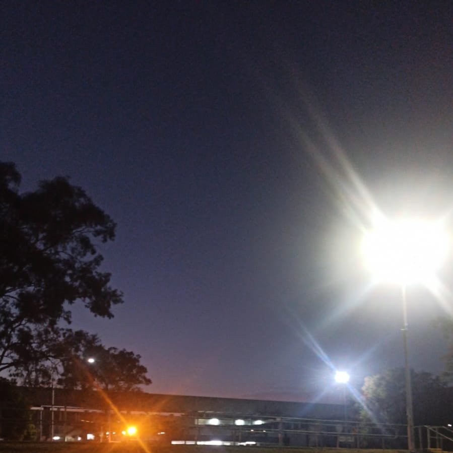 Mario S. tweet media