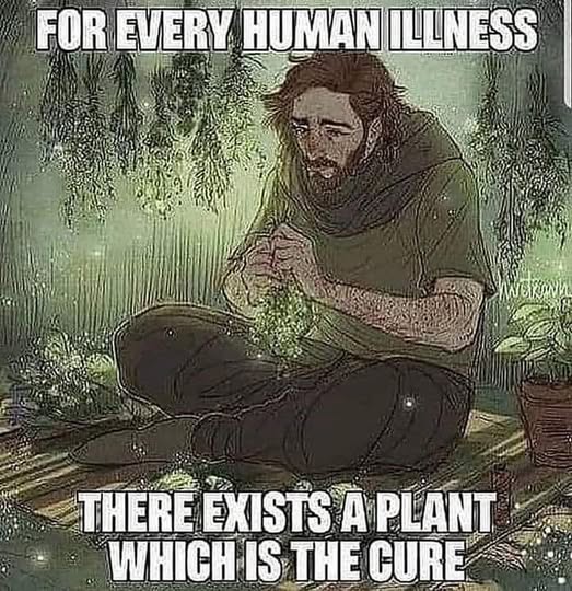 GalacticJack's tweet image. 