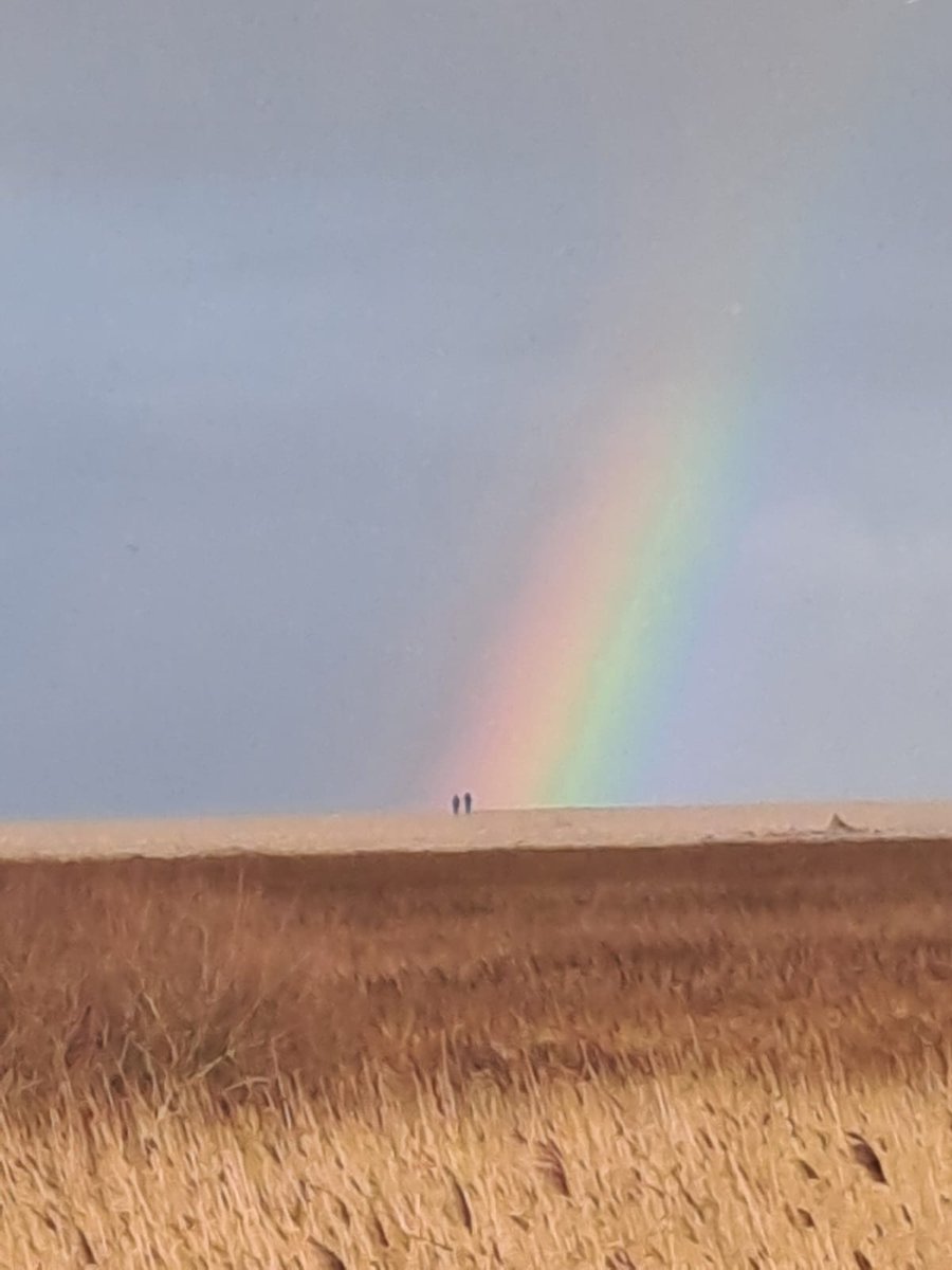 BexHeadTeacher's tweet image. We've luckily been able to holiday away for twixmas for the last few years and it's one of the best things for my mental health🥰 #friends #walks #goodfood
Photo taken today #Blakeney
@Gaiinz @Lynne22334 @rebecca5key @julieanndale @ed_objective