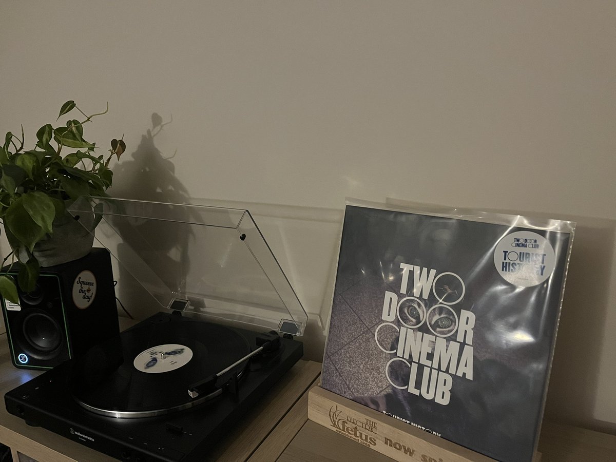 alex (blm) 🌊 tweet media