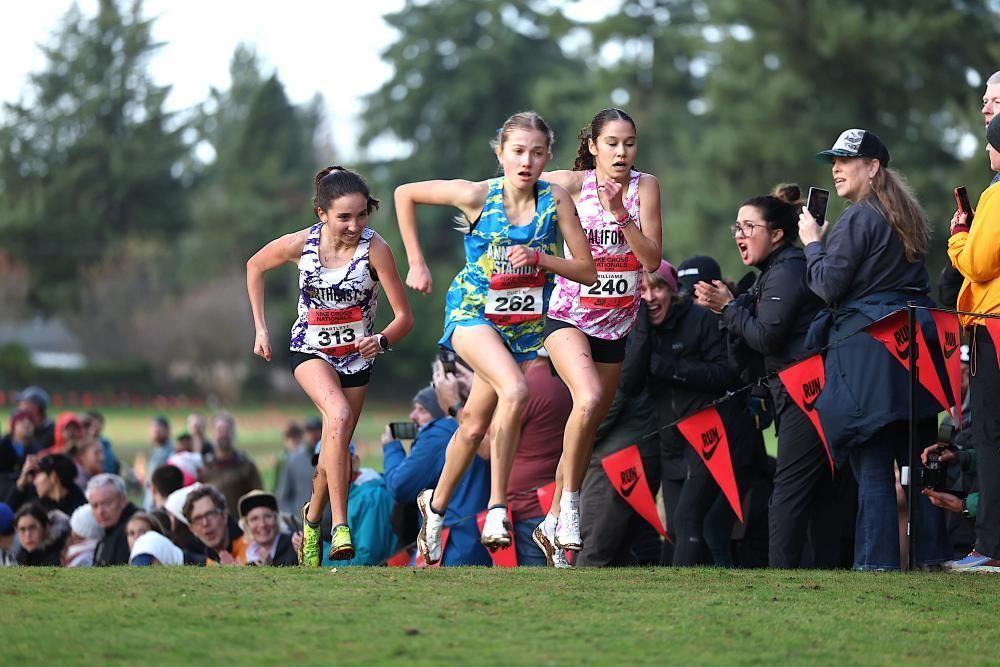 DyeStat tweet media
