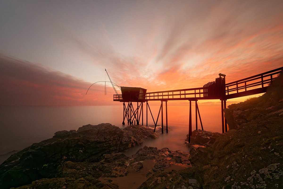 ReflexPhotoEU's tweet image. 30 décembre 2025 - Coup de Cœur du Staff RP reflexphoto.eu/viewtopic.php?…