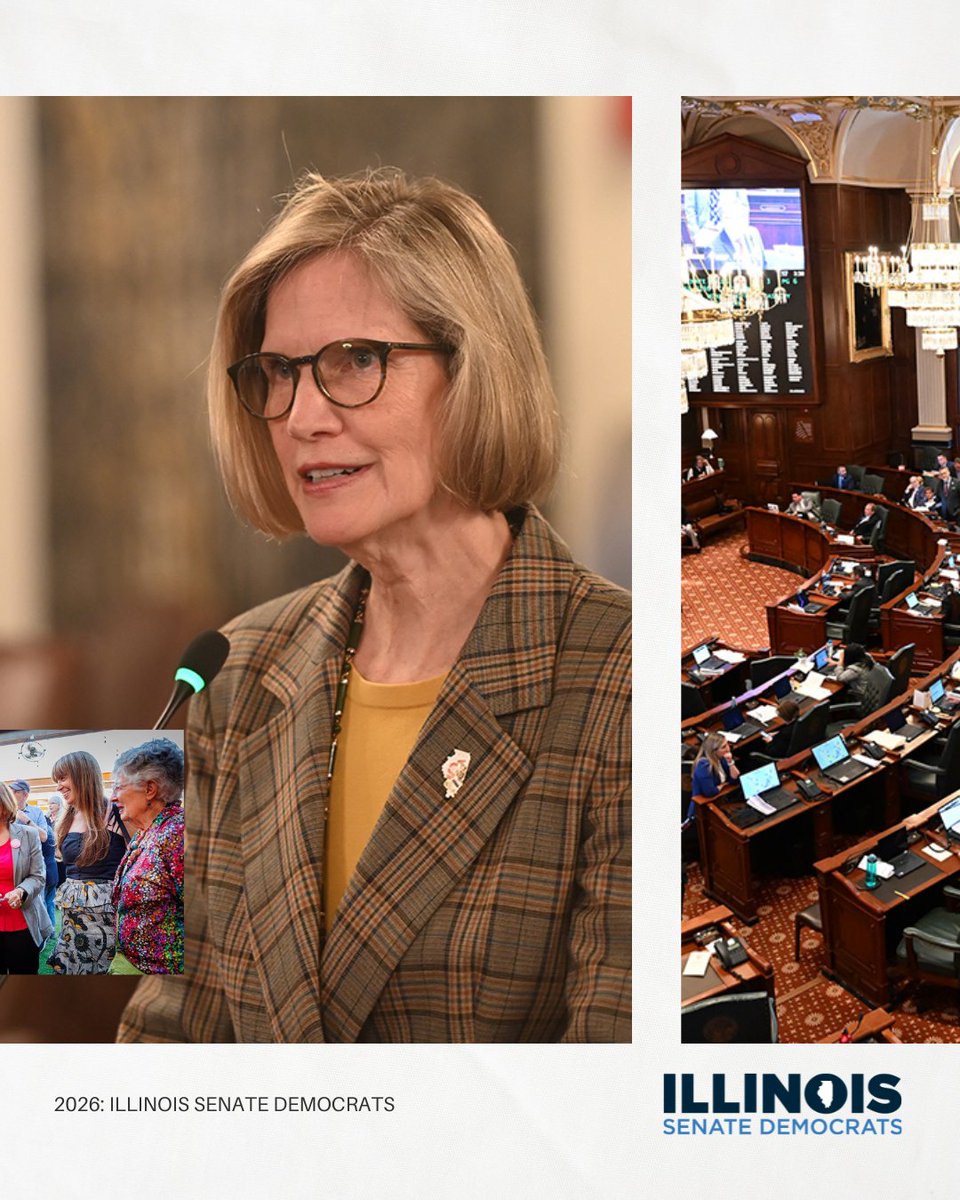 Elect IL Senate Dems tweet media