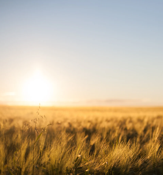 StratusResearch tweet media