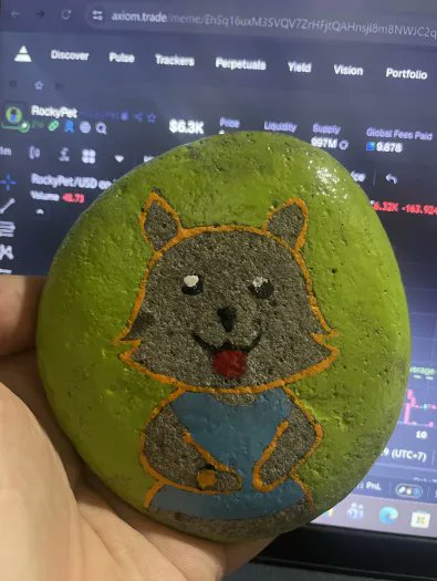 RockyPet tweet media