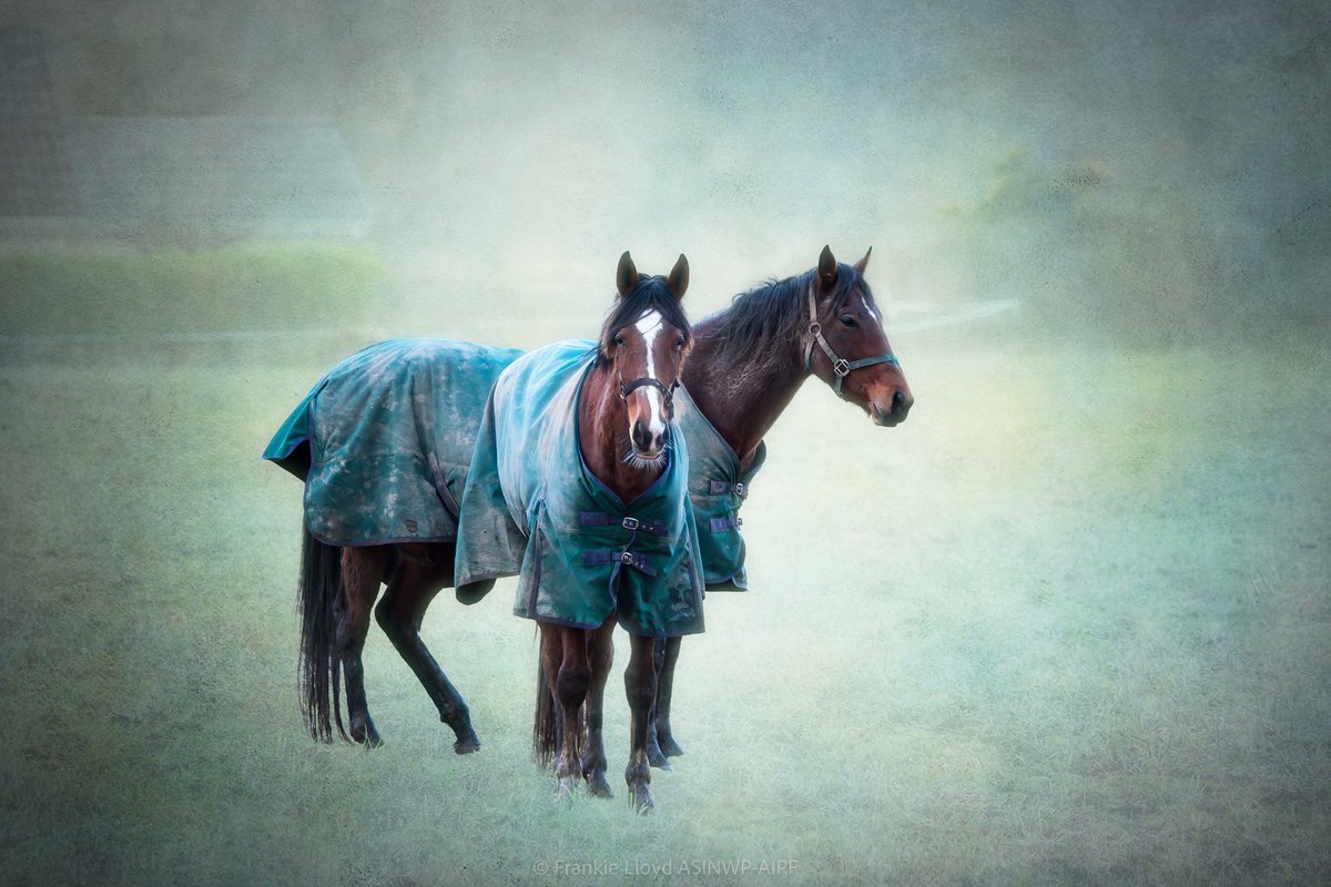 Frankie Lloyd 👀 tweet media