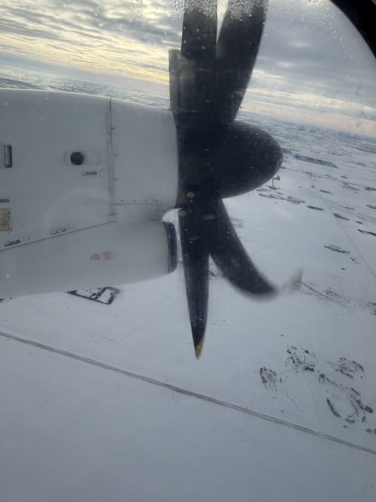 TOQUE 🇨🇦 tweet media