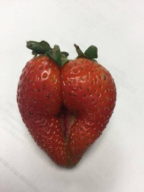 BialkoAndrew68's tweet image. This strawberry 🍓 needs to calm the fuck down 😂🤣😂🤣