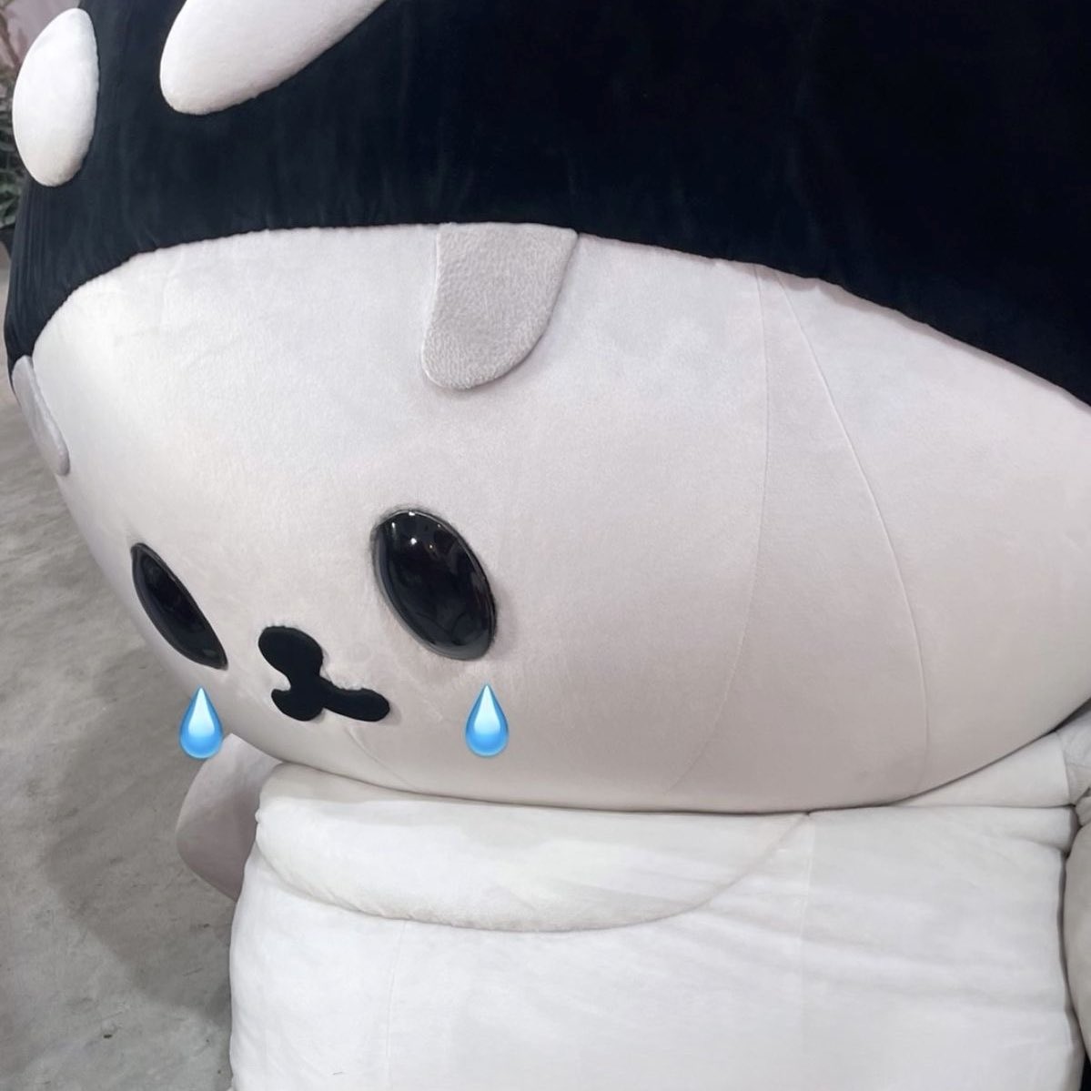 meowmiyakii's tweet image. 